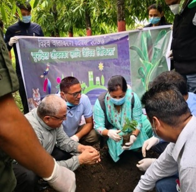 विश्व वातावरण दिवसको अवसरमा भरतपुर महानगरद्वारा वृक्षारोपण