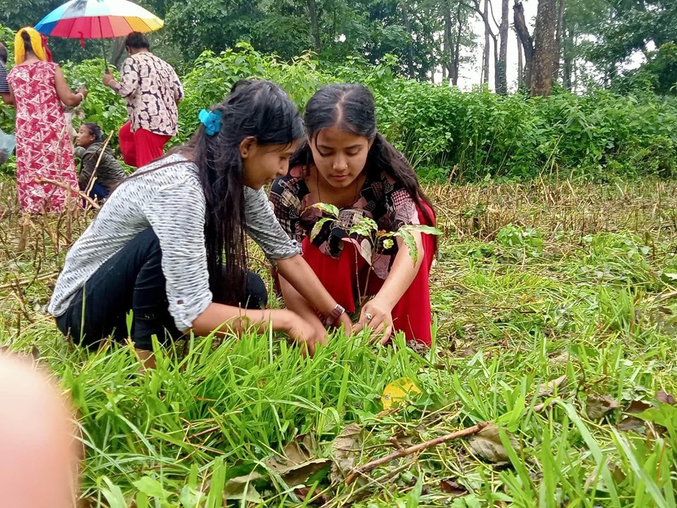 लायन्स क्लब र लियो क्लब पर्साको आयोजनामा वृक्षारोपण