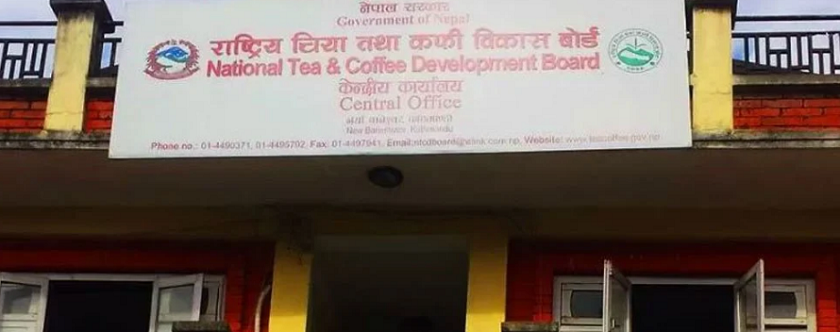 चिया तथा कफी बोर्डको निर्देशक नियुक्तिको अन्तर्वार्ता स्थगन