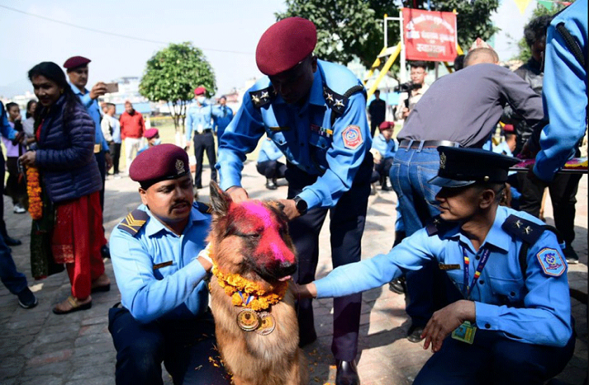 प्रहरीले मनायो कुकुर तिहार, ‘टाइगर’ले पायो सर्वोत्कृष्ट कुकुरको अवार्ड