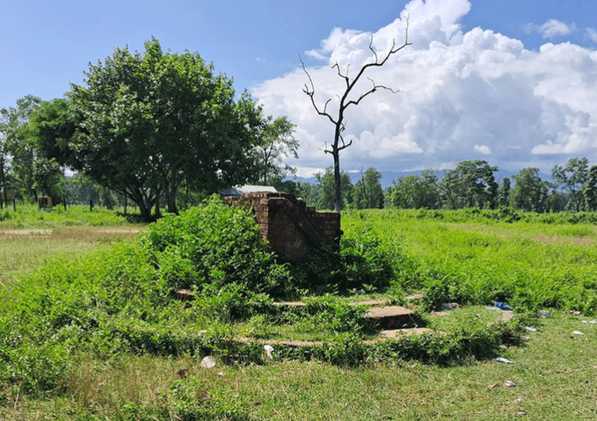 कावासोतीमा नमुना सदरमुकाम निर्माण क्षेत्रका रुख काट्न स्वीकृति