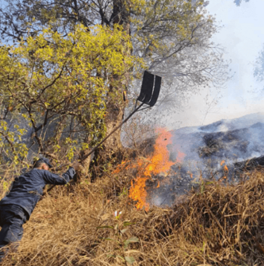 चन्द्रागिरीको सामुदायिक बनमा भीषण डढेलो