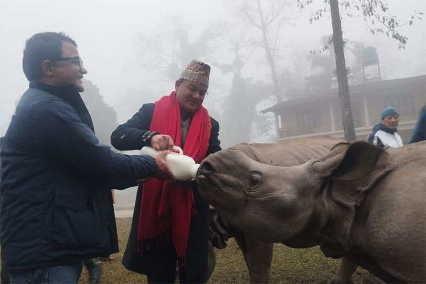 चितवनका गैंडा हेर्न विदेशबाट आउँछन्, संरक्षणमा हातेमालो गरौँ : वनमन्त्री शाही