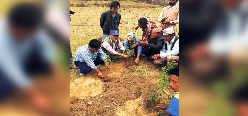 पूर्वएआइजी राईले गर्दैछन् कृषि क्रान्ति