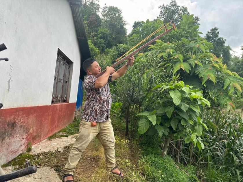 गोरखाको शहीद लखनमा बाँदर धपाउन किसानलाई अनुदानमा गुलेली