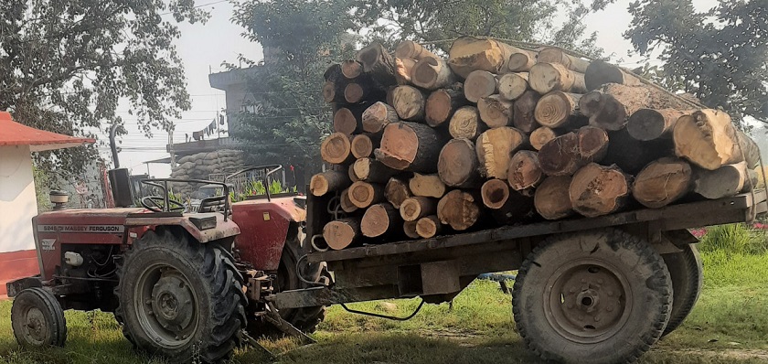 अवैध काठसहित ट्याक्टर नियन्त्रणमा