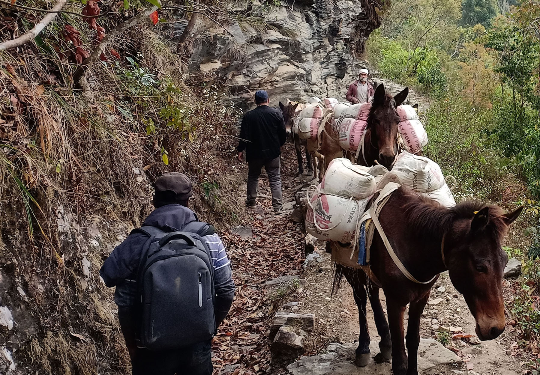 खच्चडमार्फत बालुवा ढुवानी