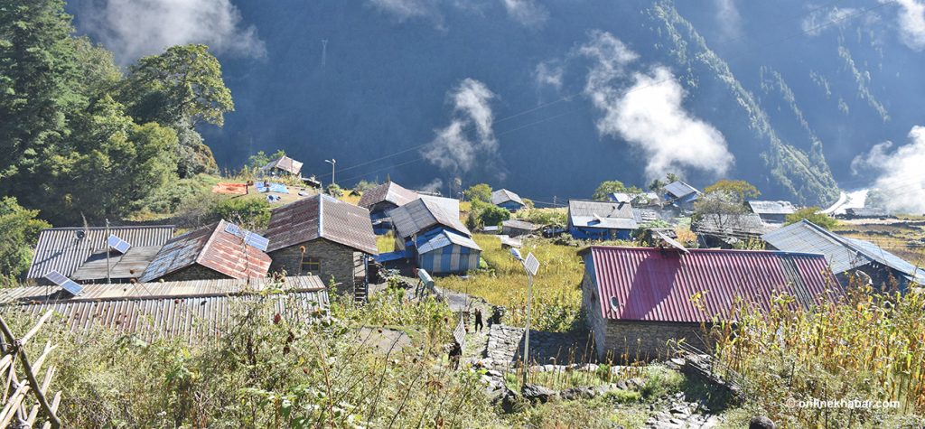 किमाथाङ्का भन्सार कार्यालयमा कार्यालय सहयोगी मात्र