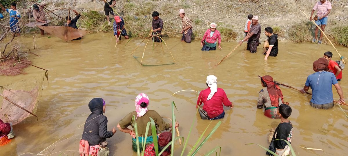 शिवरात्रिका दिन सामूहिक माछा मार्ने चलन