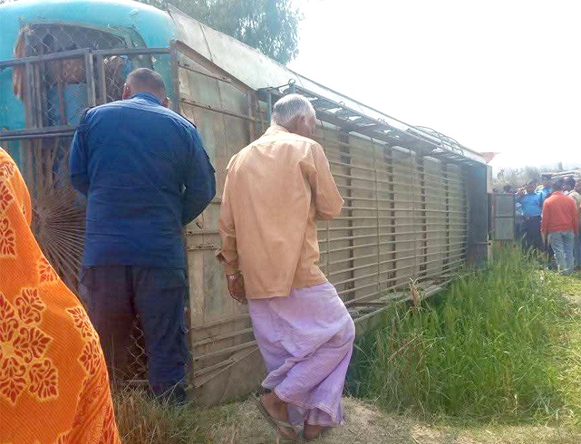 महोत्तरीमा बस दुर्घटना, १५ जना घाइते