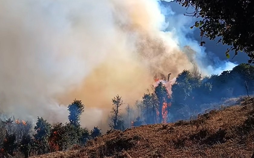 सामुदायिक वनमा लागेको आगो निभाउन कठिन, जोखिममा भेडीगोठ