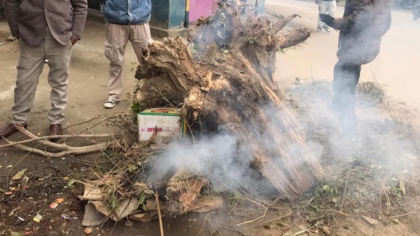 चिसो बढेपछि कैलालीमा दाउरा वितरण