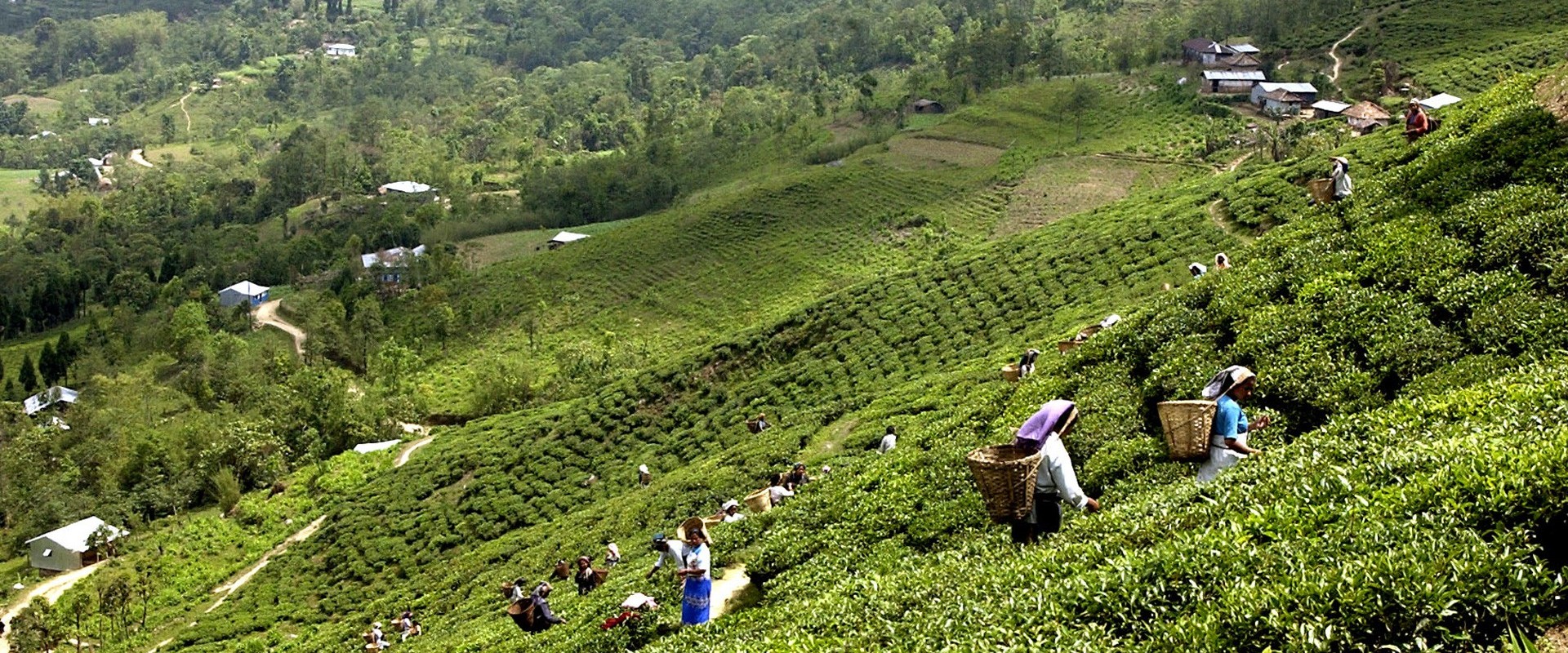 इलाममा एफएमको नियमित प्रसारण शुरु