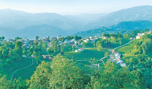 इलामको एक घरमा आगलागी हुँदा ४० लाखको क्षति