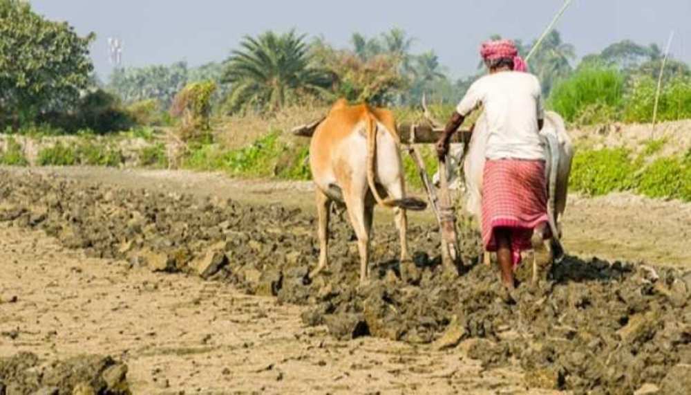 कृषि आधुनिकीकरण परियोजना : आठ हजारभन्दा बढी किसान आबद्ध