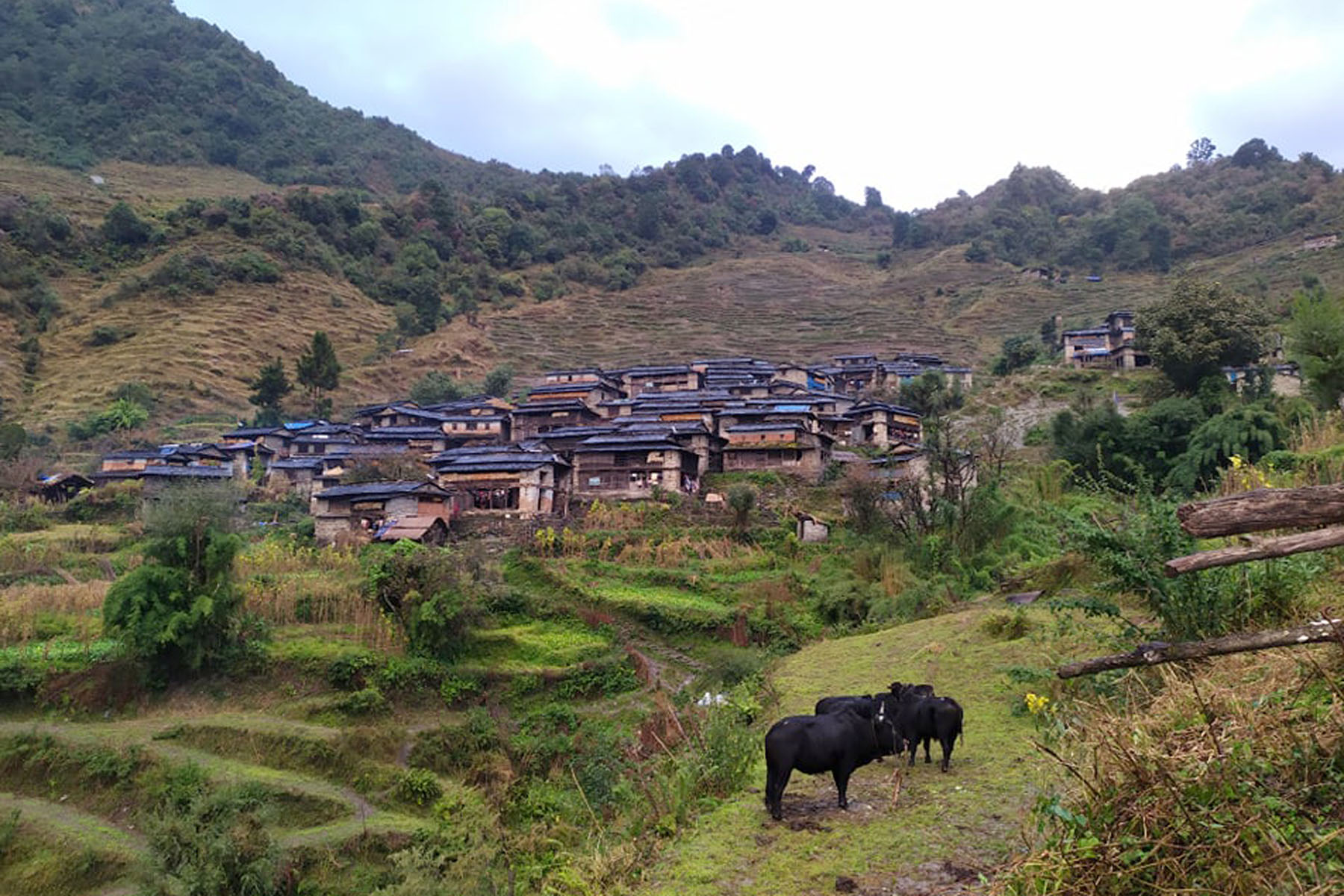 कुमारी गाउँ कुइने