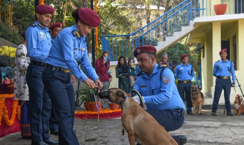 जोलीलाई उत्कृष्ट प्रहरी कुकुरको अवार्ड, जसले पत्ता लगाएको थियो पूर्वराजदूत केशव झाको हत्यारा