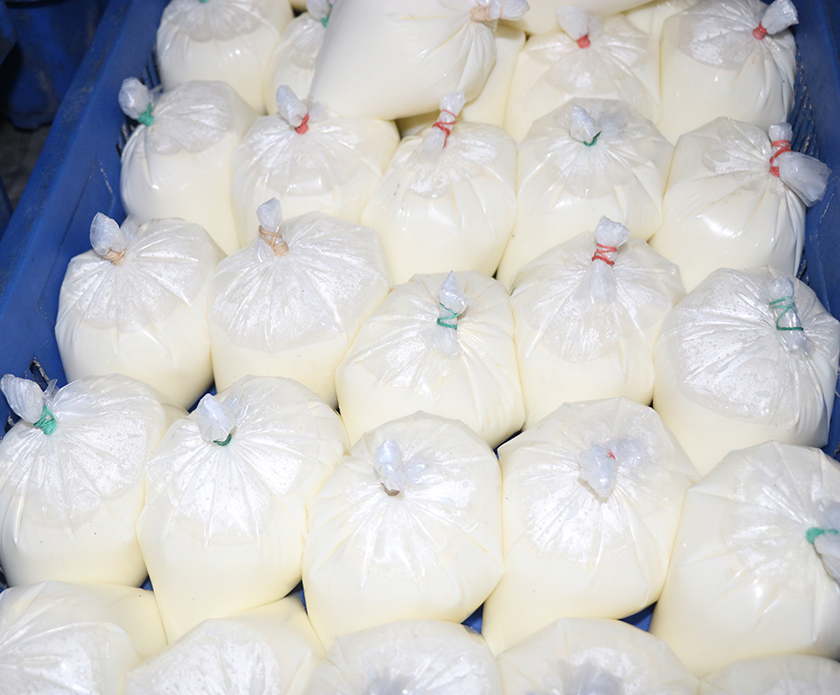 काँचो दूधको व्यापारले डेरी उद्योग चौपट