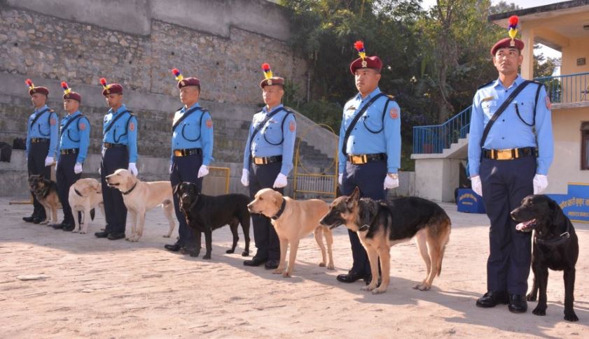 पुजारी हत्याको अनुसन्धानमा तालिमप्राप्त कुकुरको प्रयोग