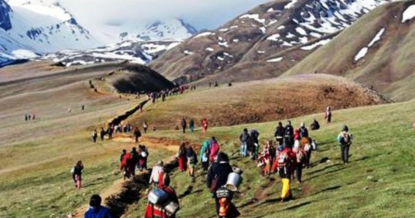 राष्ट्रिय निकुञ्जमा यार्सागुम्बा संकलनमा रोक