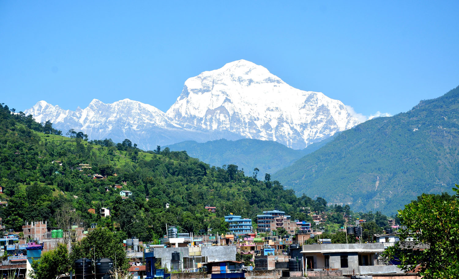 धवलागिरि हिमाल