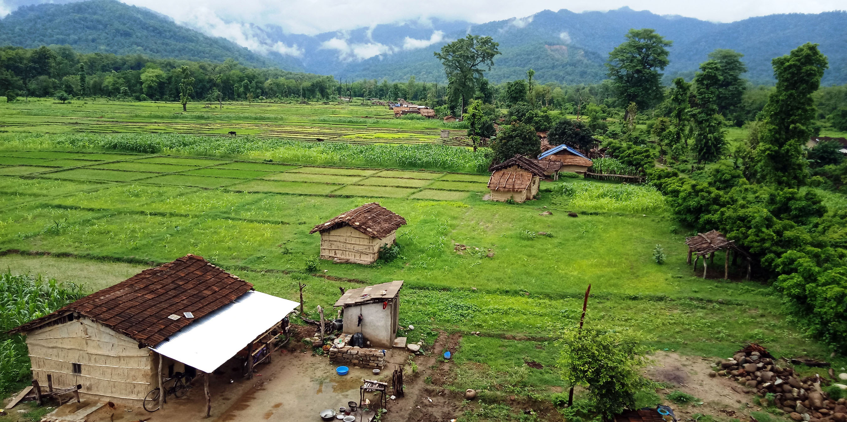 कञ्चनपुरको सुन्दर पिलरीफाँटा गाँउ