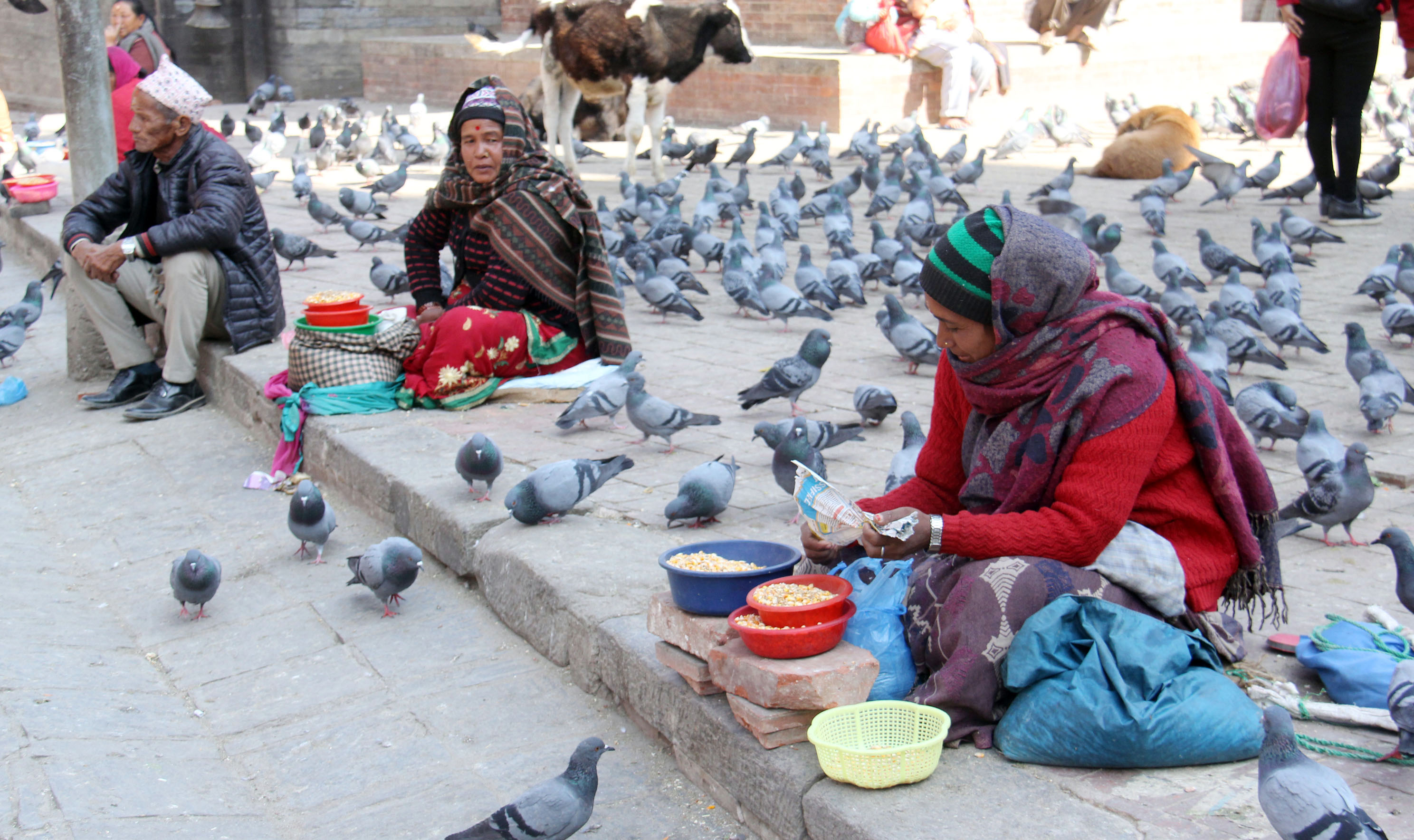 चाहारा बेच्न ग्राहकको प्रतिक्षामा महिला