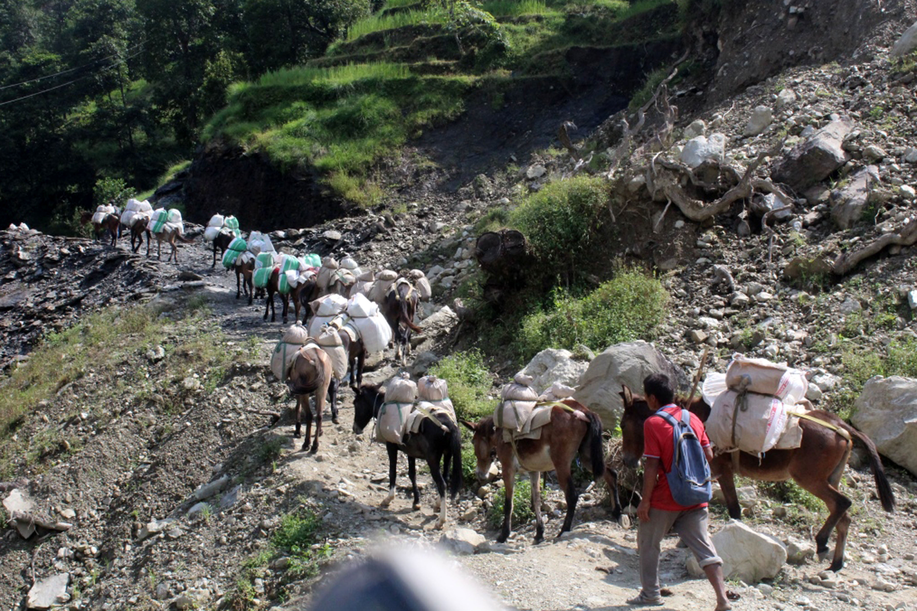 खच्चडबाट सामान ढुवानी