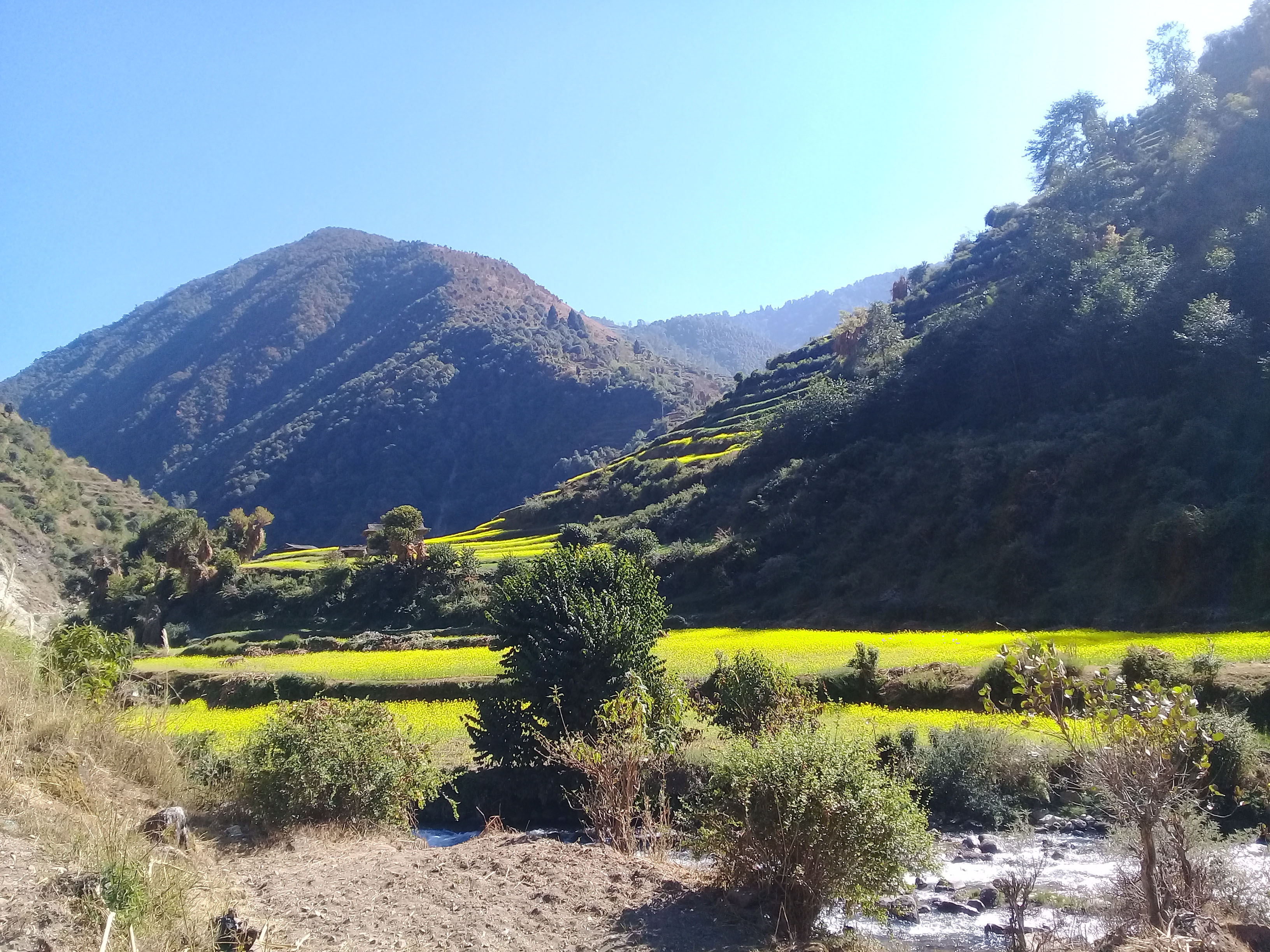 सुन्दर छ, तोरी बारी...