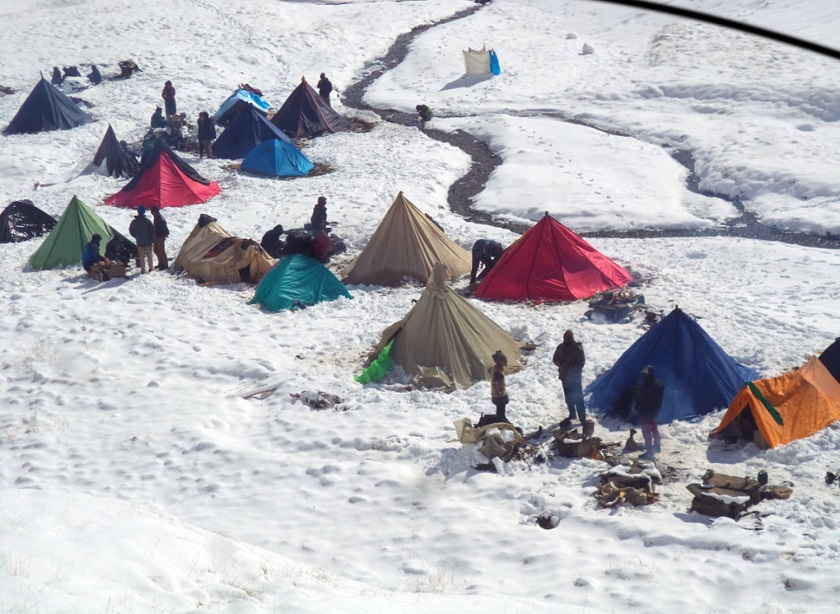 यार्सा टिप्न गएकी २२ वर्षीया युवतीको मृत्यु​